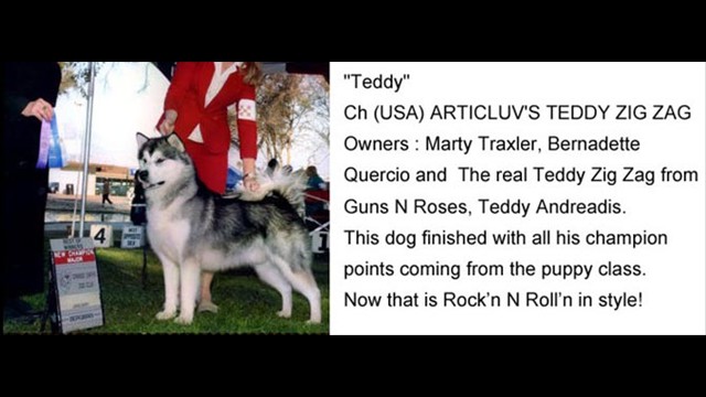 teddy_news