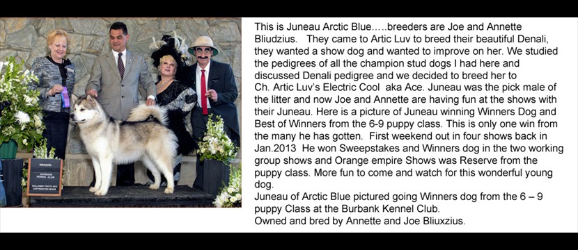juneau_wd_burbankjpg